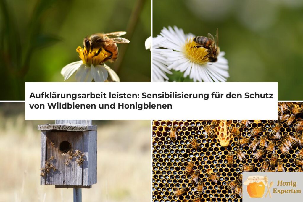 bienen aufklärungsarbeit