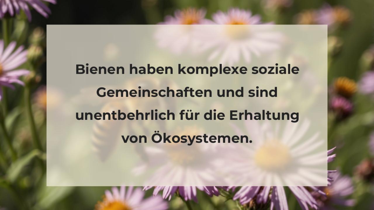 Bienen haben komplexe soziale Gemeinschaften und sind unentbehrlich für die Erhaltung von Ökosystemen.