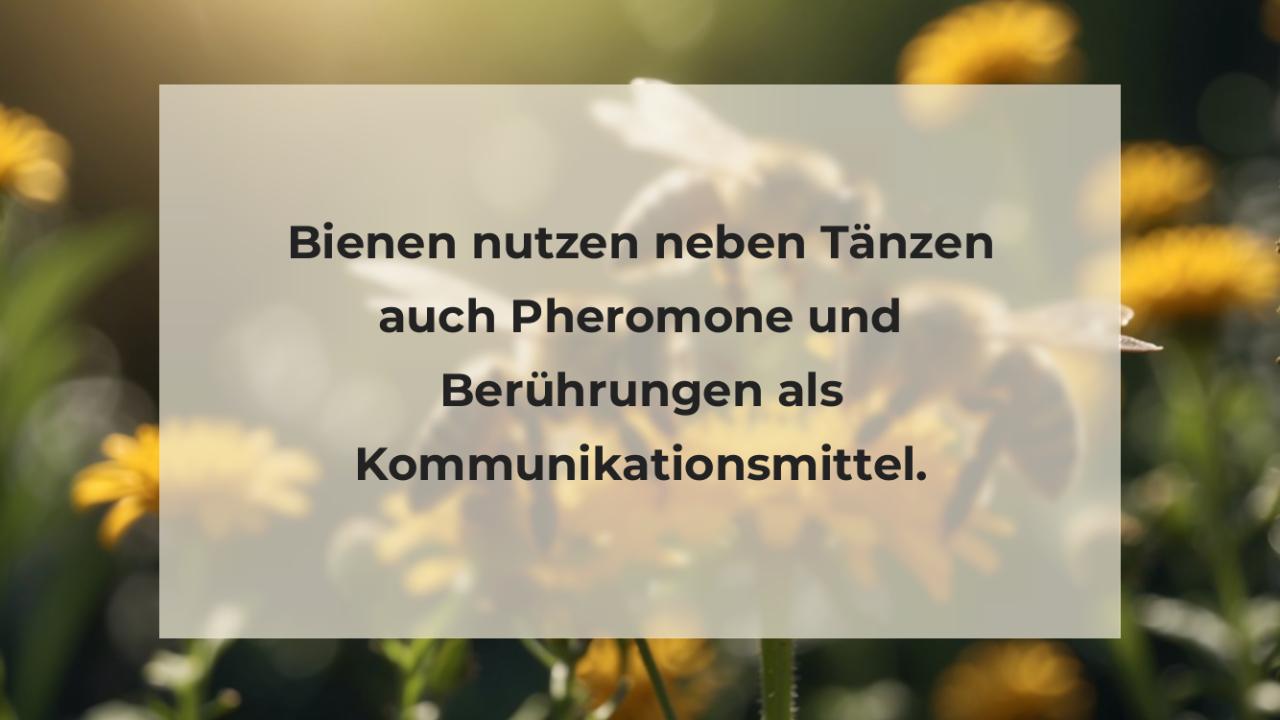 Bienen nutzen neben Tänzen auch Pheromone und Berührungen als Kommunikationsmittel.