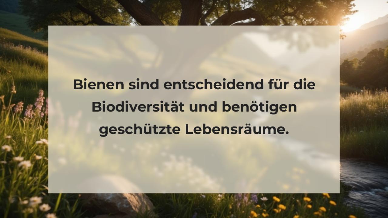 Bienen sind entscheidend für die Biodiversität und benötigen geschützte Lebensräume.