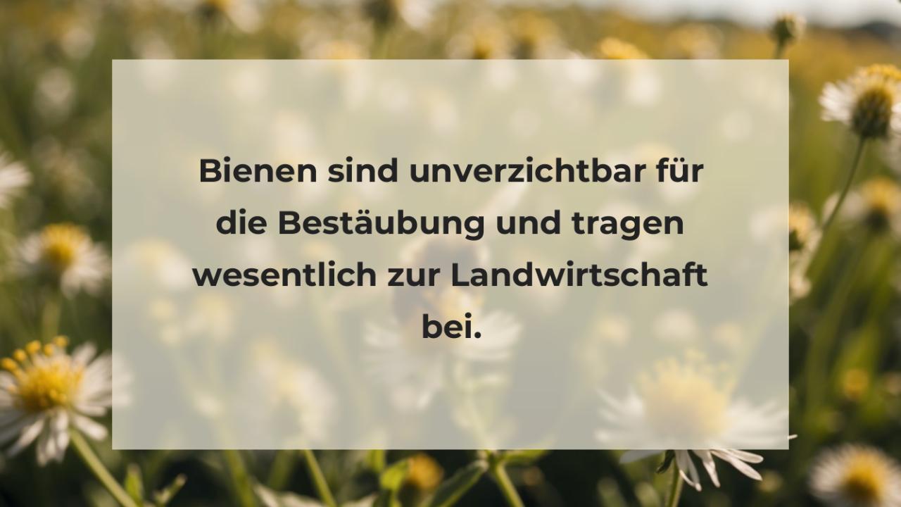 Bienen sind unverzichtbar für die Bestäubung und tragen wesentlich zur Landwirtschaft bei.