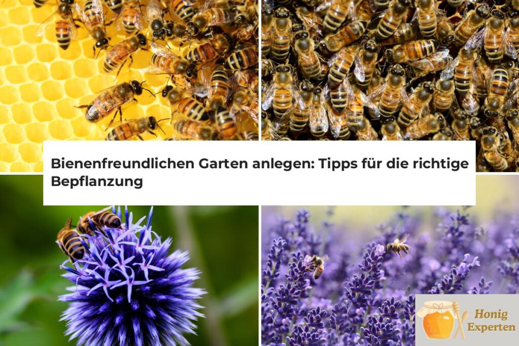 bienenfreundlicher Garten