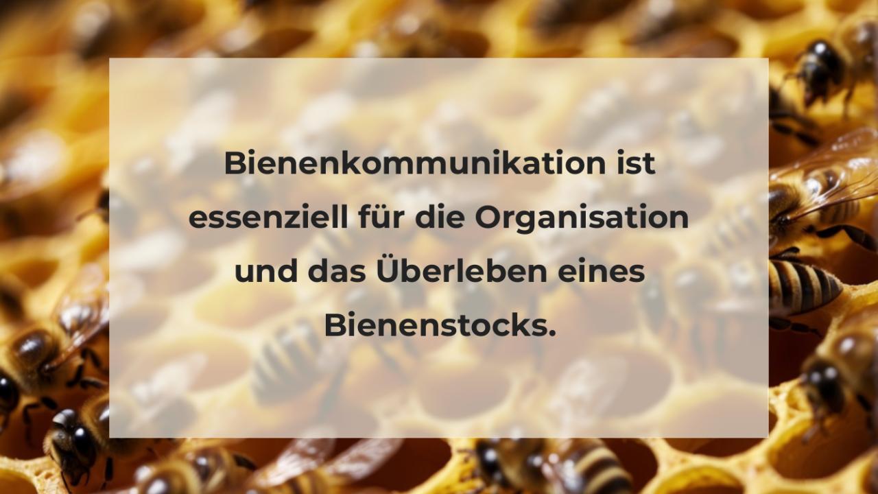 Bienenkommunikation ist essenziell für die Organisation und das Überleben eines Bienenstocks.