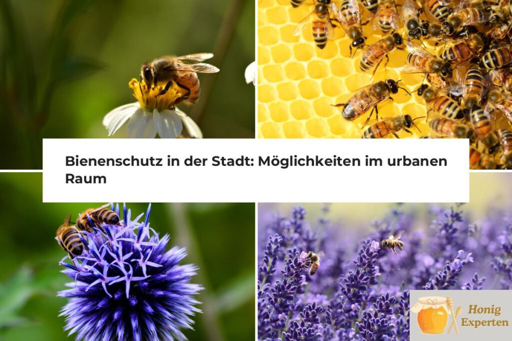 bienenschutz in der stadt