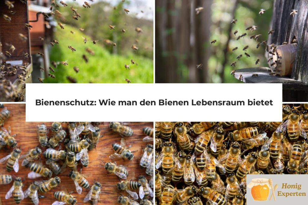 bienenschutz lebensraum