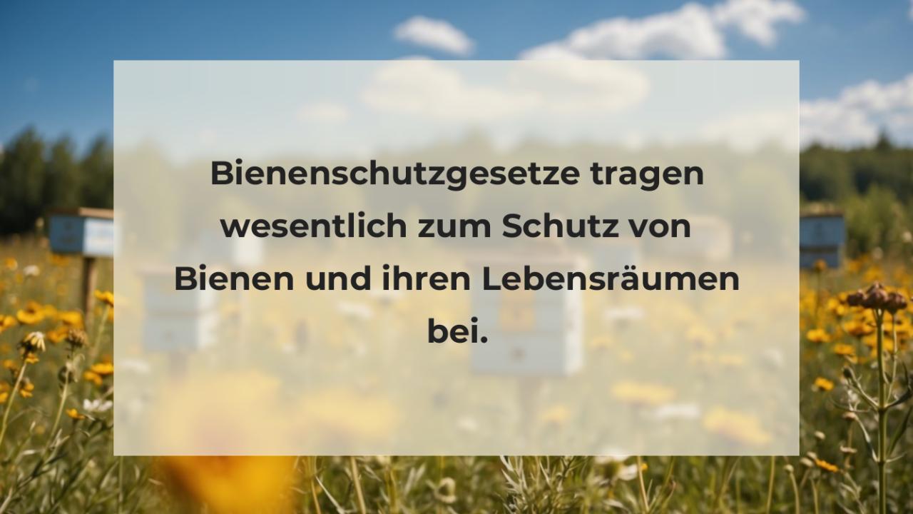 Bienenschutzgesetze tragen wesentlich zum Schutz von Bienen und ihren Lebensräumen bei.