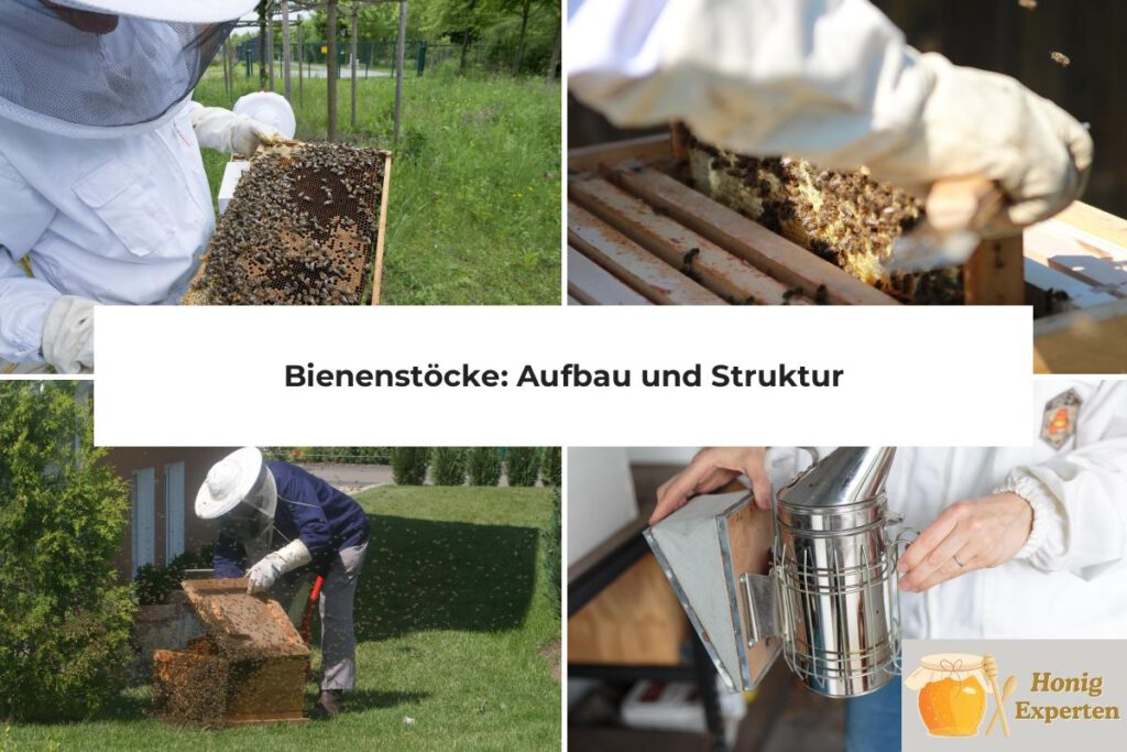 Bienenstock Aufbau