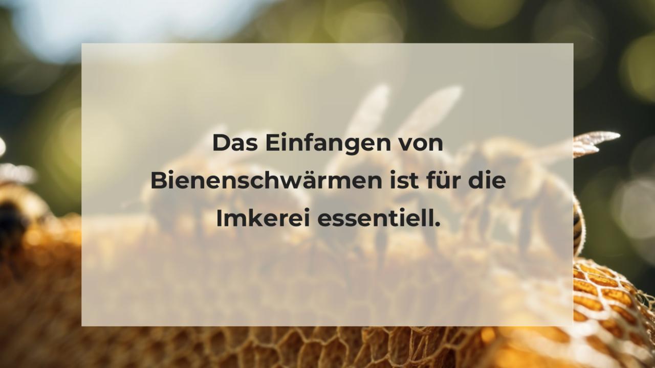 Das Einfangen von Bienenschwärmen ist für die Imkerei essentiell.