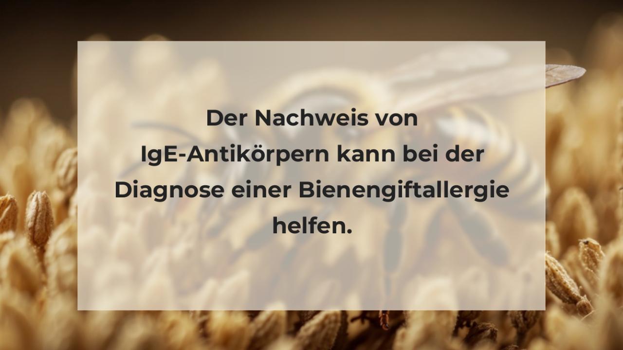 Der Nachweis von IgE-Antikörpern kann bei der Diagnose einer Bienengiftallergie helfen.