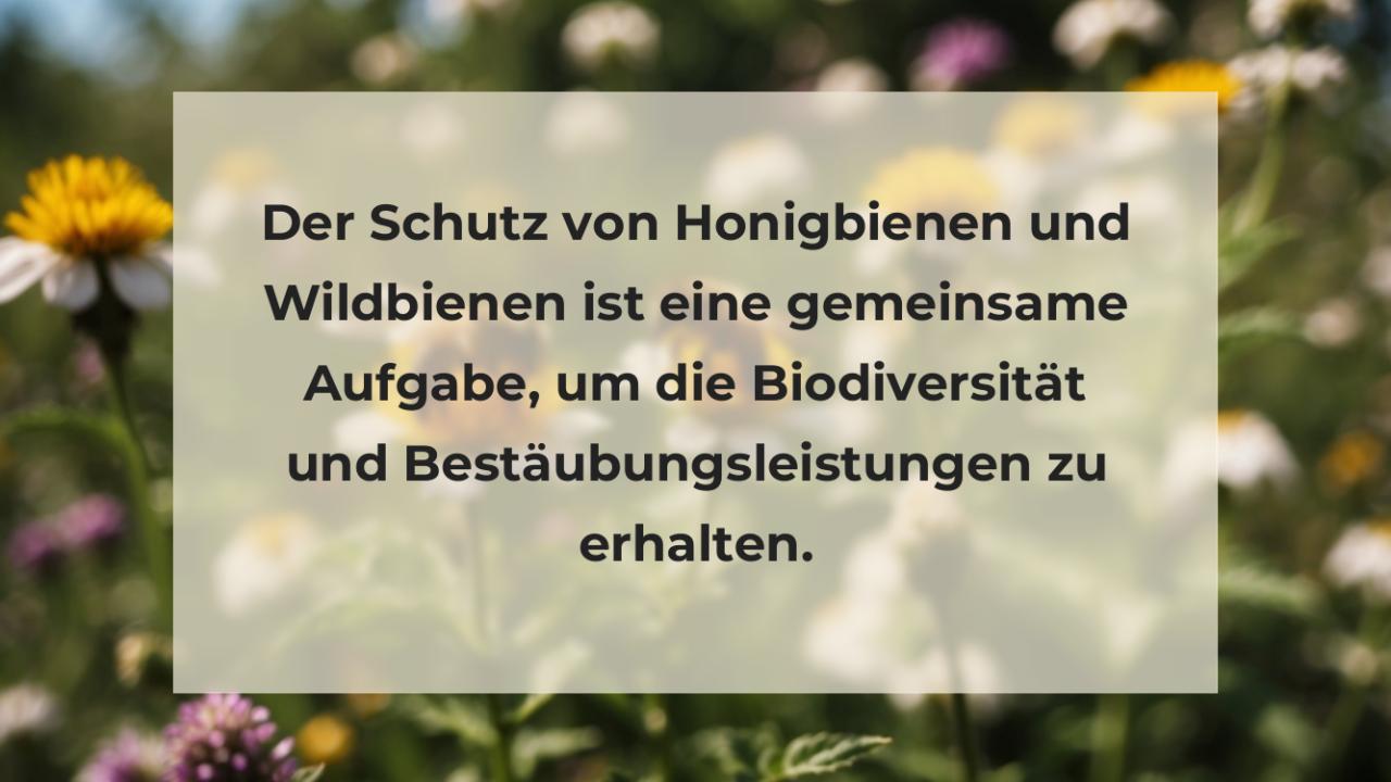 Der Schutz von Honigbienen und Wildbienen ist eine gemeinsame Aufgabe, um die Biodiversität und Bestäubungsleistungen zu erhalten.