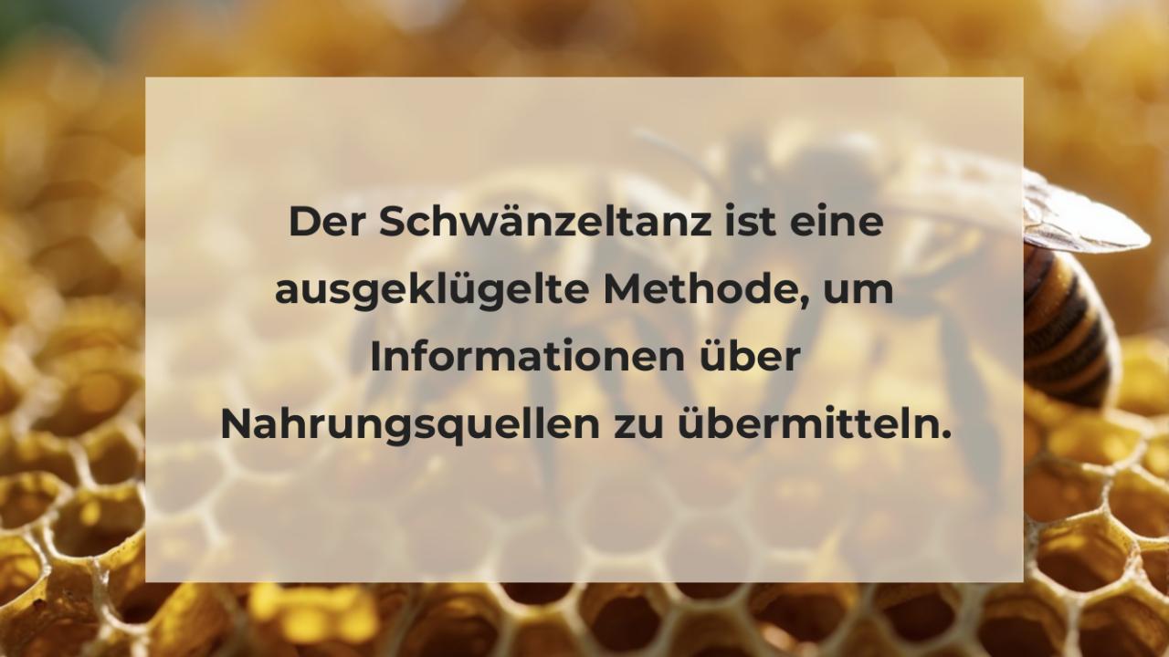 Der Schwänzeltanz ist eine ausgeklügelte Methode, um Informationen über Nahrungsquellen zu übermitteln.