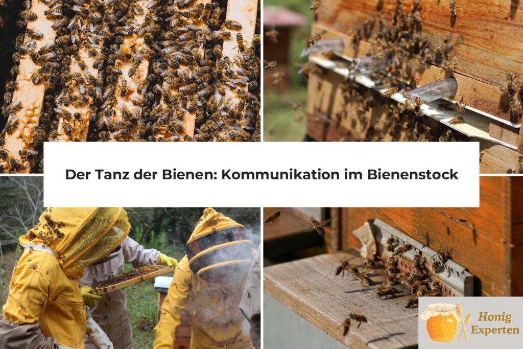 Bienenkommunikation