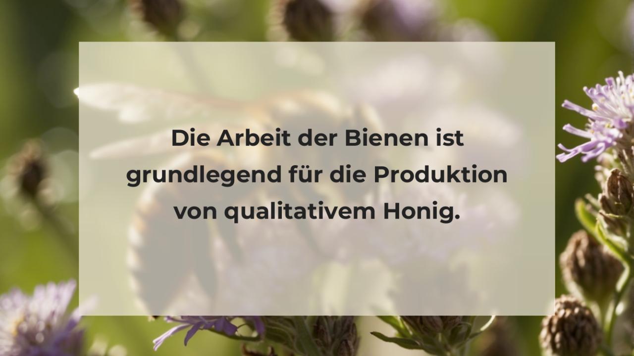 Die Arbeit der Bienen ist grundlegend für die Produktion von qualitativem Honig.