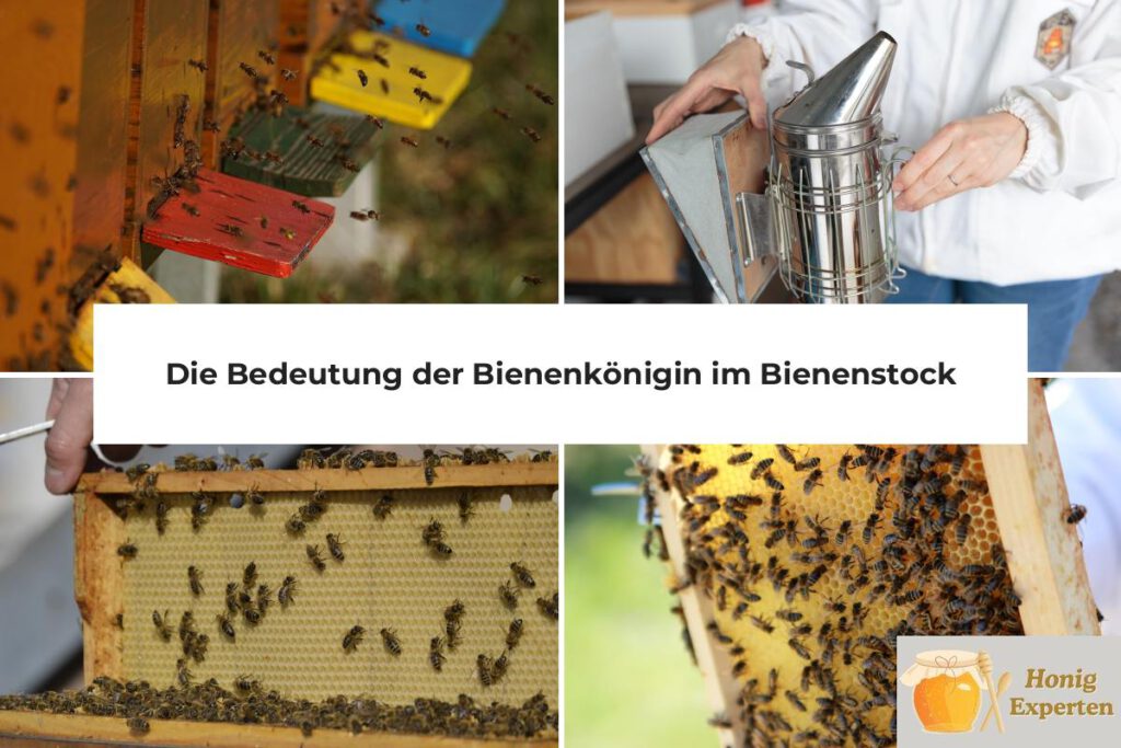 Bienenkönigin Bedeutung