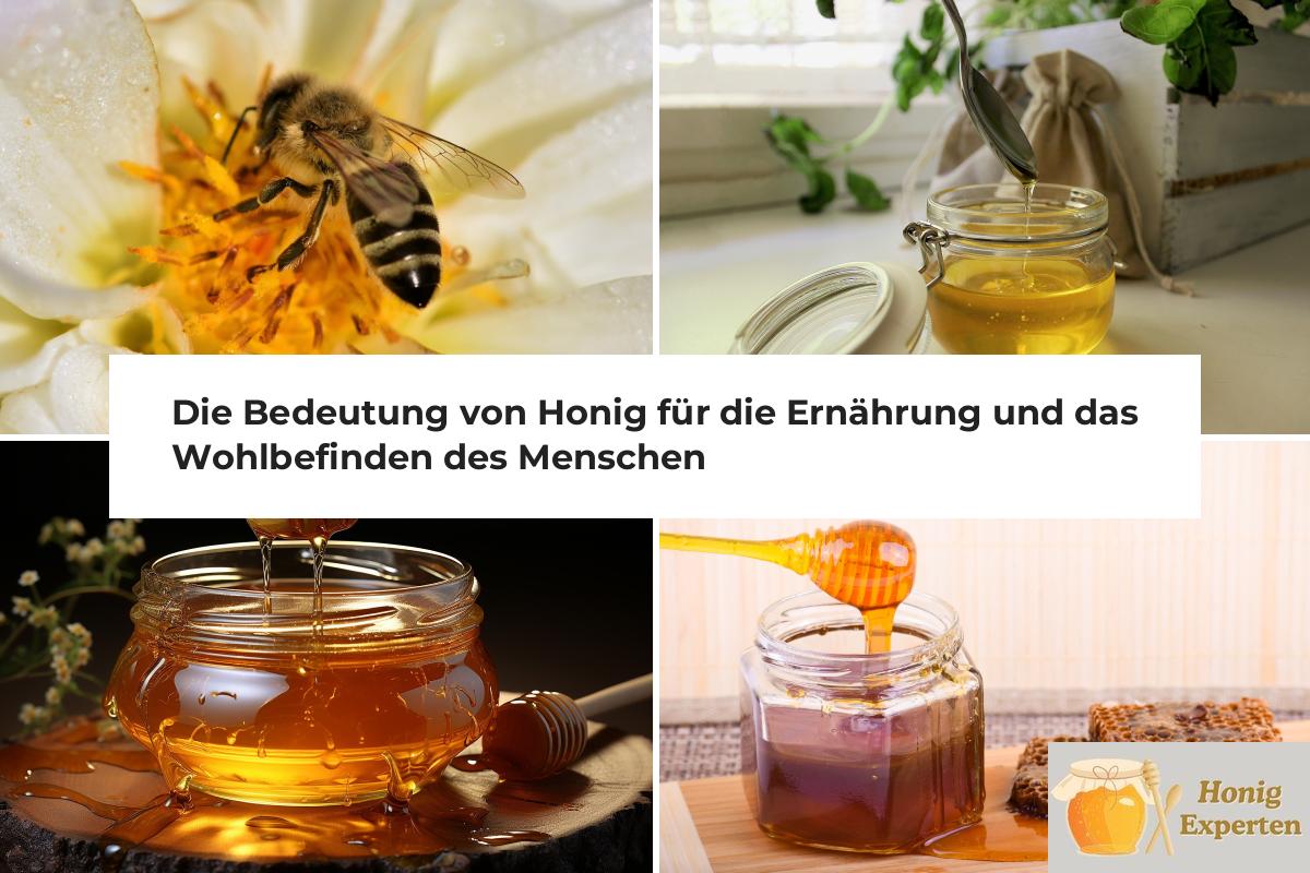 Wie lange ist Honig haltbar und wie sollte er gelagert werden? Honigexperten