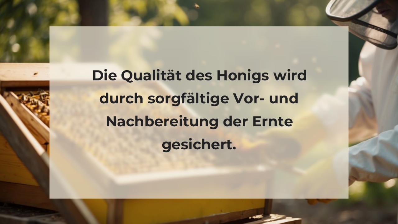 Die Qualität des Honigs wird durch sorgfältige Vor- und Nachbereitung der Ernte gesichert.