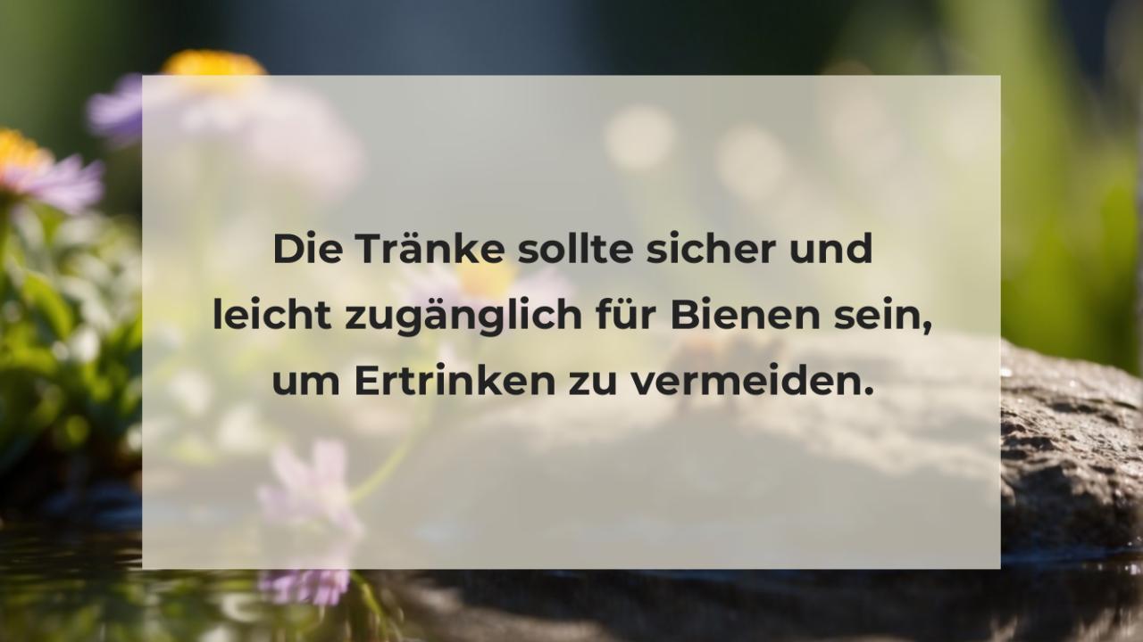 Die Tränke sollte sicher und leicht zugänglich für Bienen sein, um Ertrinken zu vermeiden.