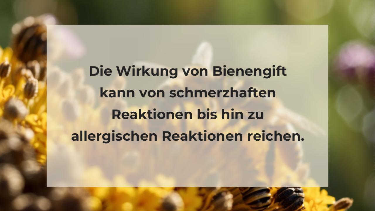 Die Wirkung von Bienengift kann von schmerzhaften Reaktionen bis hin zu allergischen Reaktionen reichen.