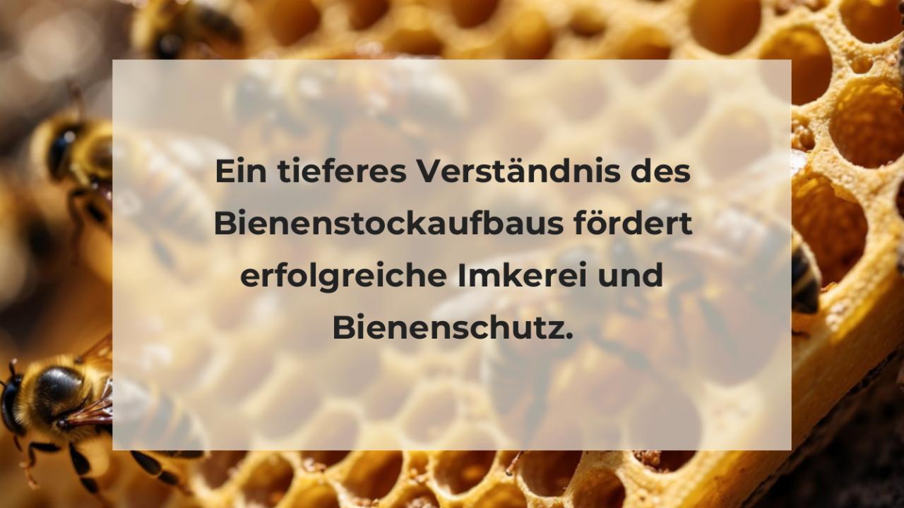 Ein tieferes Verständnis des Bienenstockaufbaus fördert erfolgreiche Imkerei und Bienenschutz.