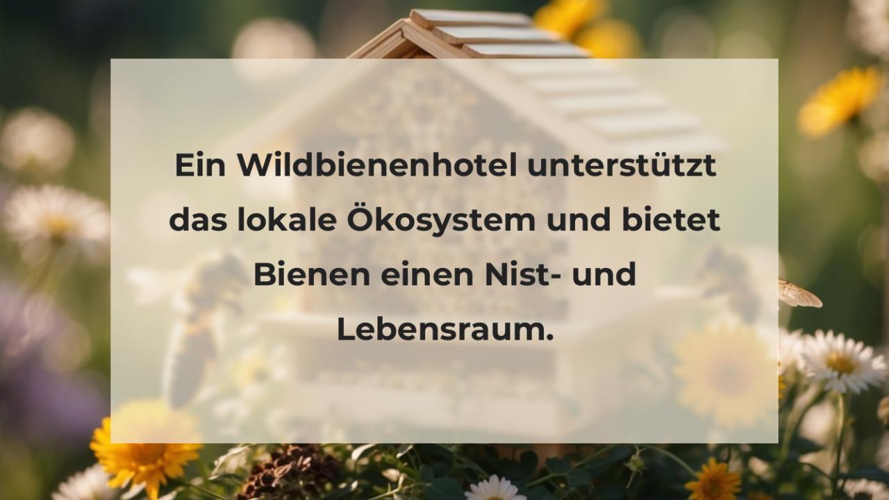 Ein Wildbienenhotel unterstützt das lokale Ökosystem und bietet Bienen einen Nist- und Lebensraum.