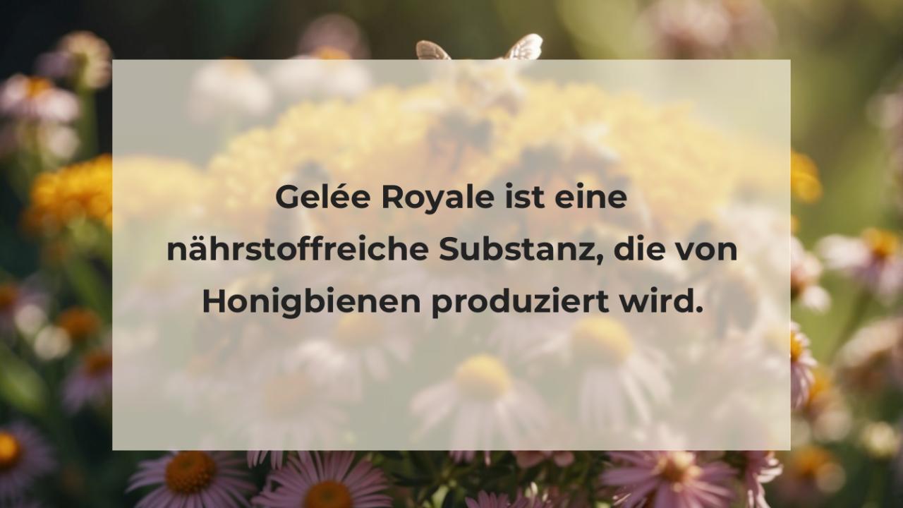 Gelée Royale ist eine nährstoffreiche Substanz, die von Honigbienen produziert wird.