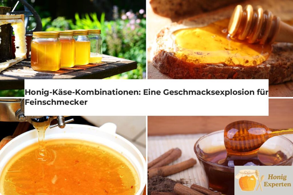 Honig-Käse-Kombinationen