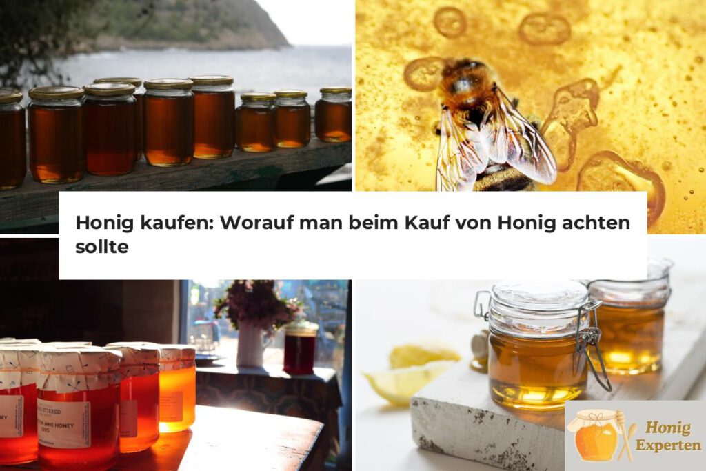 Honig kaufen