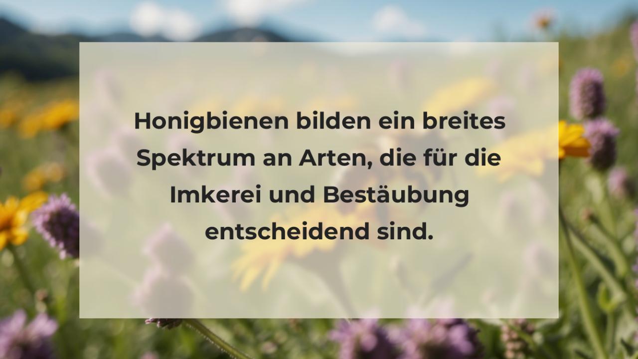 Honigbienen bilden ein breites Spektrum an Arten, die für die Imkerei und Bestäubung entscheidend sind.