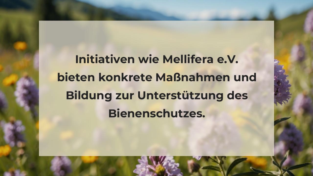 Initiativen wie Mellifera e.V. bieten konkrete Maßnahmen und Bildung zur Unterstützung des Bienenschutzes.