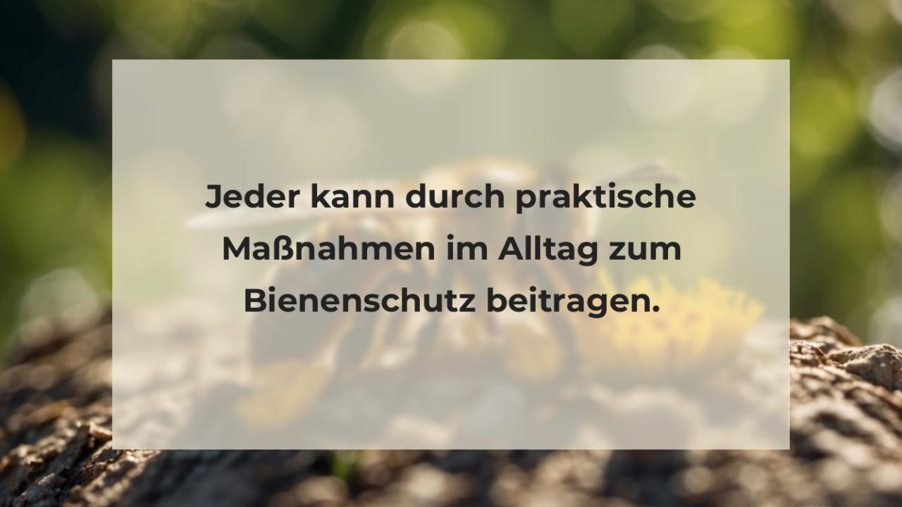 Jeder kann durch praktische Maßnahmen im Alltag zum Bienenschutz beitragen.