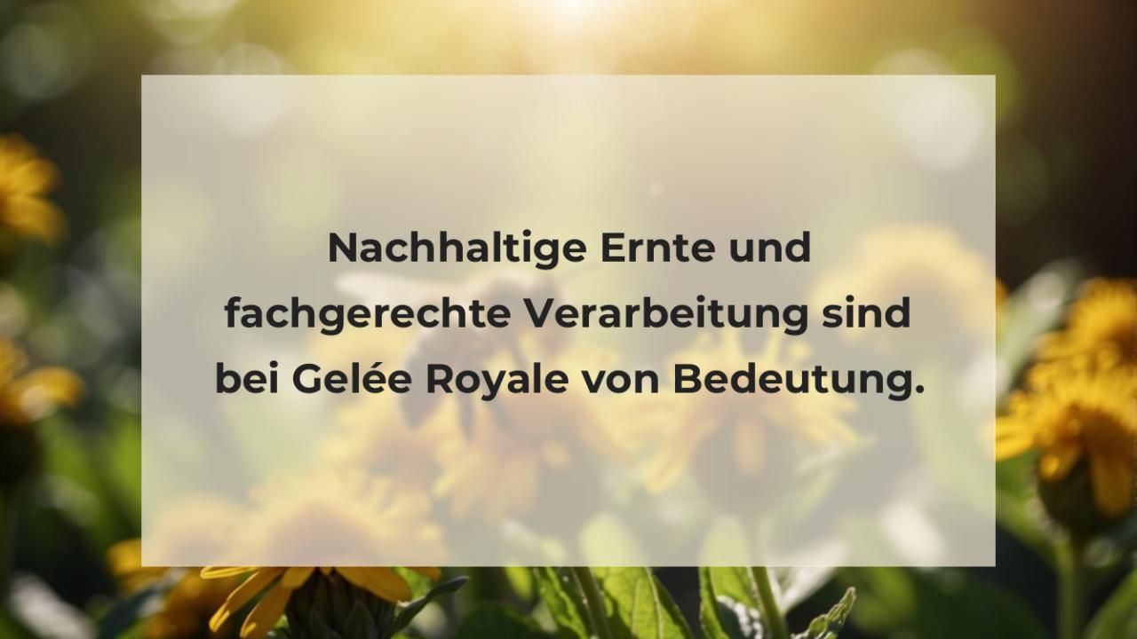 Nachhaltige Ernte und fachgerechte Verarbeitung sind bei Gelée Royale von Bedeutung.