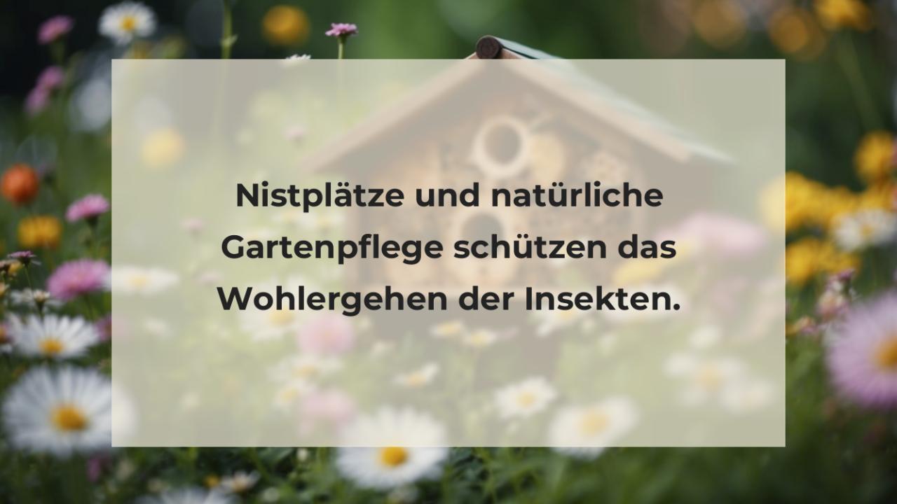 Nistplätze und natürliche Gartenpflege schützen das Wohlergehen der Insekten.