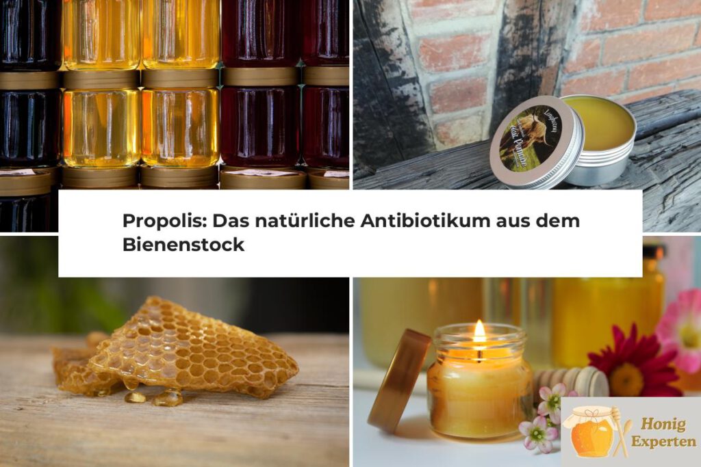 Propolis