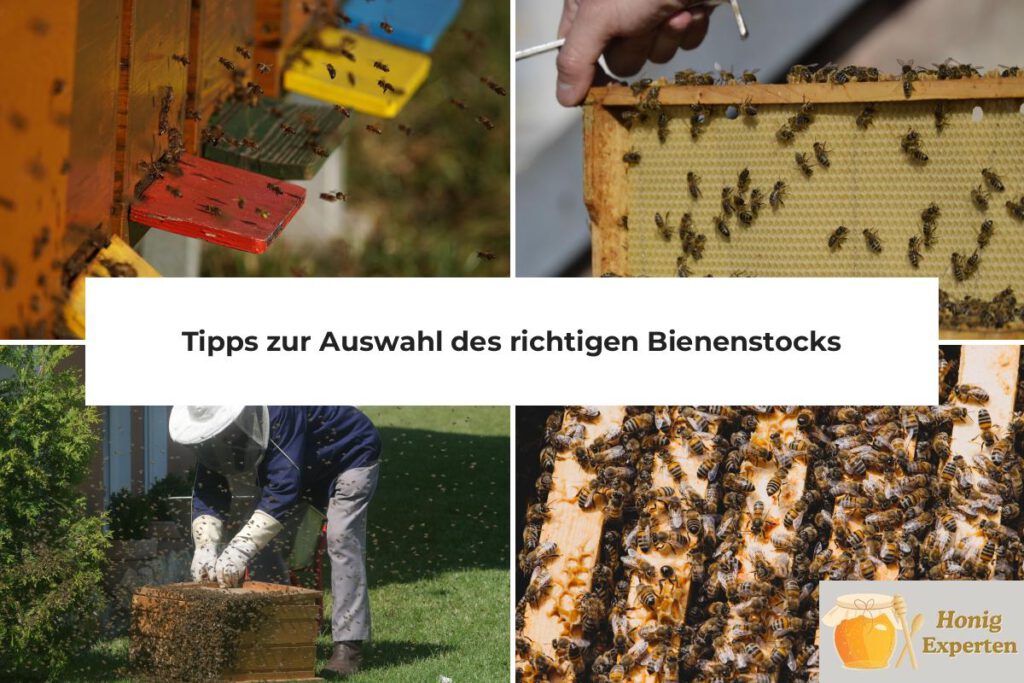 Bienenstock Auswahl