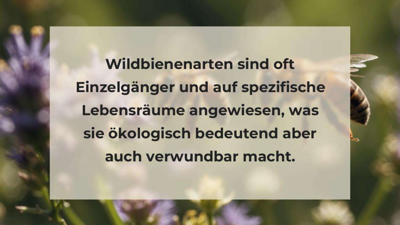 Wildbienenarten sind oft Einzelgänger und auf spezifische Lebensräume angewiesen, was sie ökologisch bedeutend aber auch verwundbar macht.