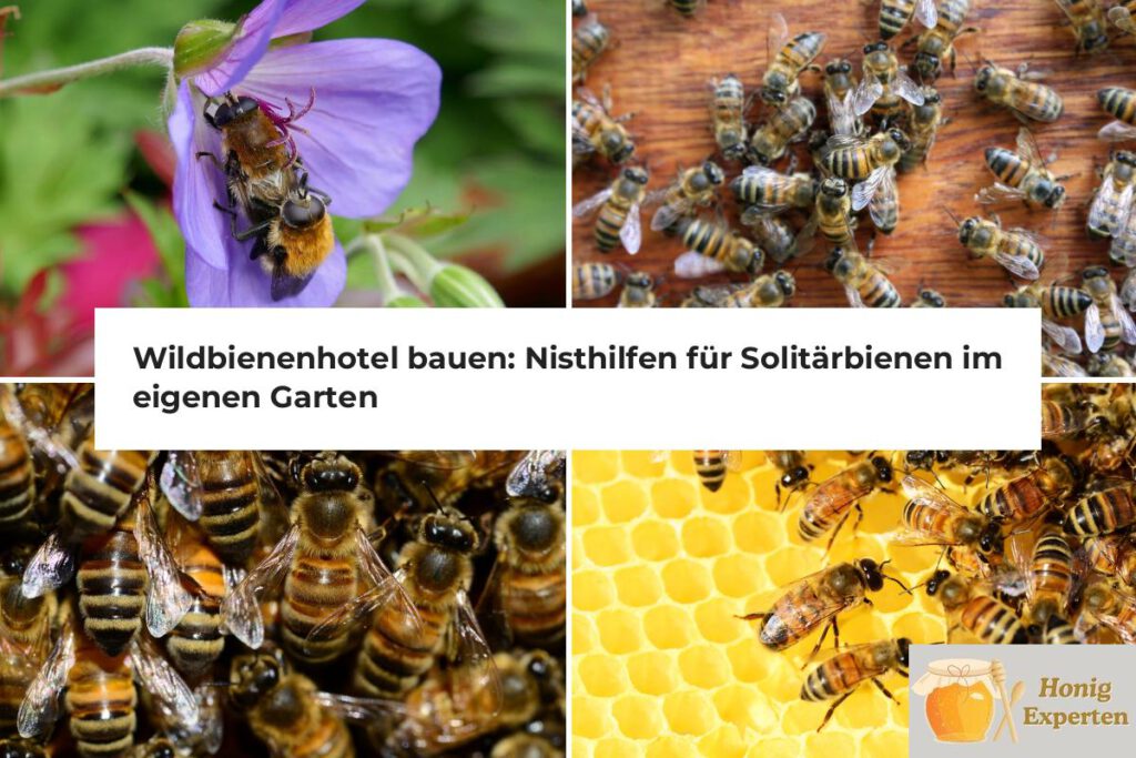 wildbienenhotel bauen