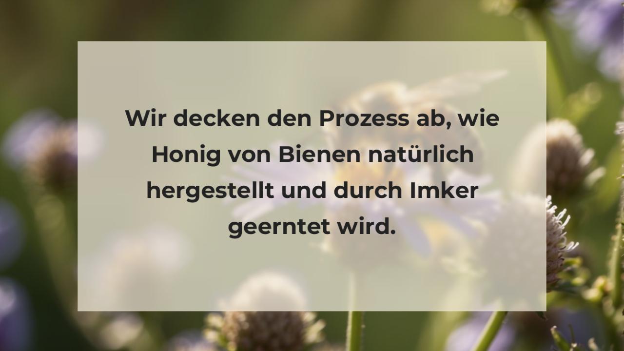 Wir decken den Prozess ab, wie Honig von Bienen natürlich hergestellt und durch Imker geerntet wird.