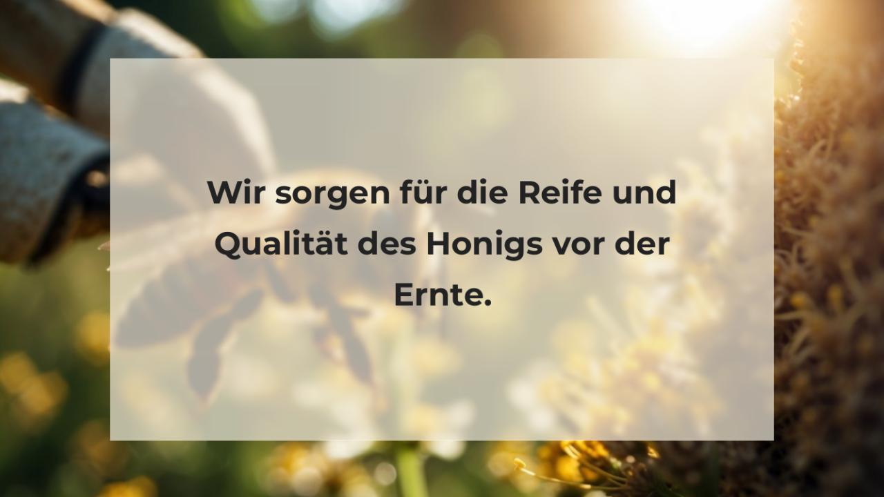 Wir sorgen für die Reife und Qualität des Honigs vor der Ernte.